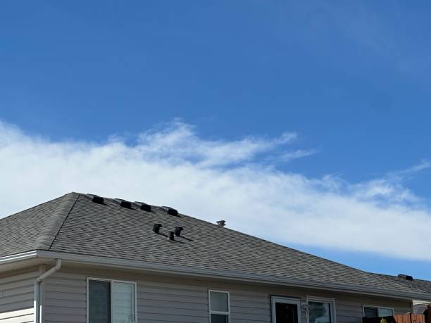 Cold Roofs in The Pinery, CO